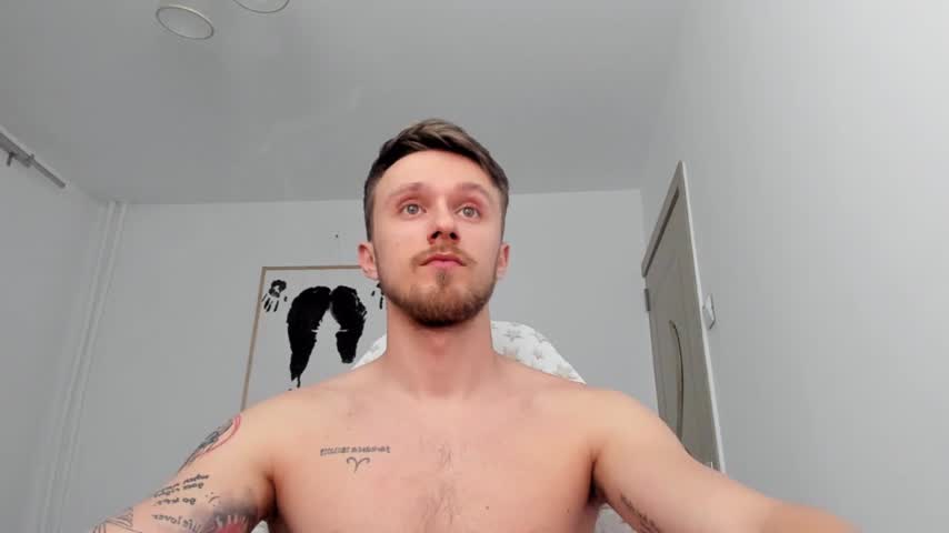 Andy Webcam Preview