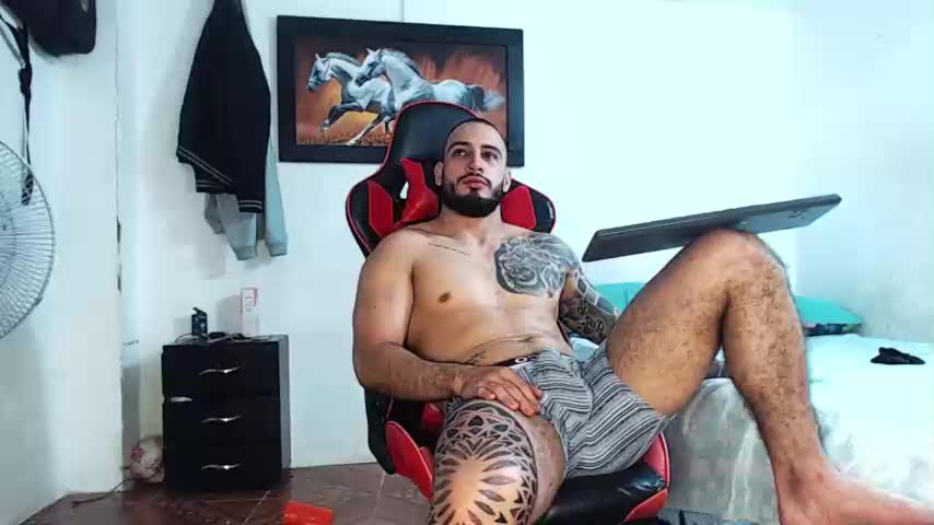 ANDRES Webcam Preview